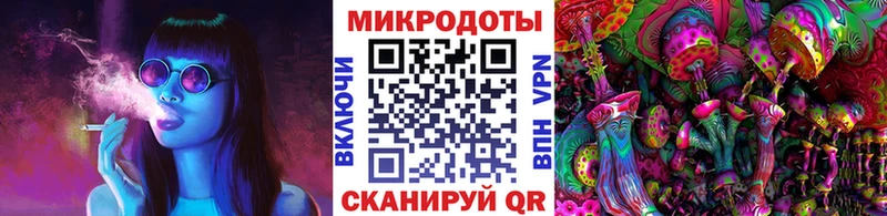 купить наркотики цена  Пойковский  Галлюциногенные грибы GOLDEN TEACHER 